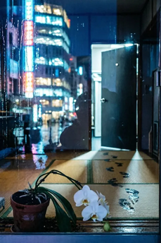 Case of Home Invasion and Murder (Reiwa 6 (Wa) No. 346)