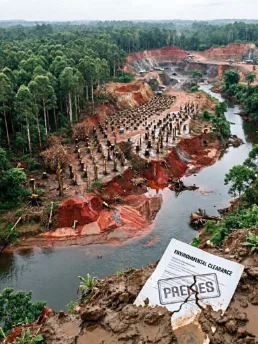 Orissa Forest Illegal Logging and Mining Case
