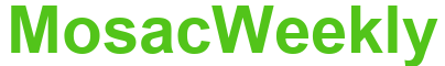 Casenovel
